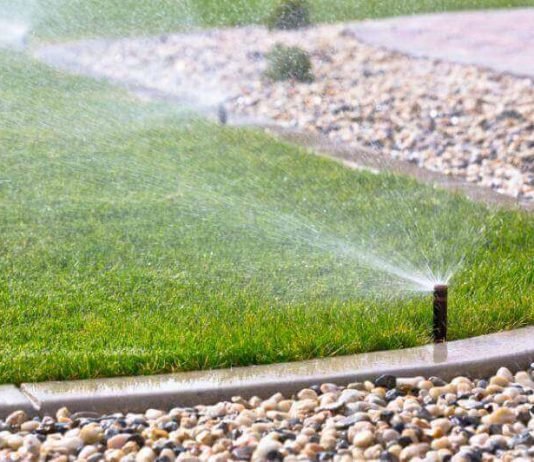 How Many Sprinkler Heads Can Be Used in One Zone of Your Lawn